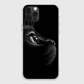 Чехол для iPhone 12 Pro Max с принтом Черный кот в Рязани, Силикон |  | black | cat | eyes | kitten | kitty | pussy | pussycat | взгляд | глаз | глаза | кот | кота | котенок | коты | котят | котята | котячьи | кошачьи | кошка | кошки | мордочка | нос | носик | с котом | усатый | усики | усища | усищи | че