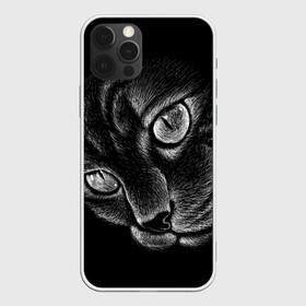 Чехол для iPhone 12 Pro с принтом Волшебный кот в Рязани, силикон | область печати: задняя сторона чехла, без боковых панелей | black | cat | eyes | kitten | kitty | pussy | pussycat | взгляд | глаз | глаза | кот | кота | котенок | коты | котят | котята | котячьи | кошачьи | кошка | кошки | мордочка | нос | носик | с котом | усатый | усики | усища | усищи | че