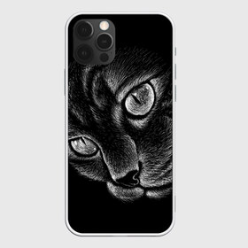 Чехол для iPhone 12 Pro Max с принтом Волшебный кот в Рязани, Силикон |  | black | cat | eyes | kitten | kitty | pussy | pussycat | взгляд | глаз | глаза | кот | кота | котенок | коты | котят | котята | котячьи | кошачьи | кошка | кошки | мордочка | нос | носик | с котом | усатый | усики | усища | усищи | че