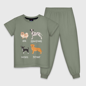 Детская пижама хлопок с принтом шпиц ретривер белый в Рязани, 100% хлопок |  брюки и футболка прямого кроя, без карманов, на брюках мягкая резинка на поясе и по низу штанин
 | Тематика изображения на принте: далматинец | песокафе | ретривер | собаки | чихуахуа | шпиц