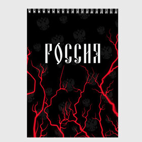 Скетчбук с принтом РОССИЯ / RUSSIA в Рязани, 100% бумага
 | 48 листов, плотность листов — 100 г/м2, плотность картонной обложки — 250 г/м2. Листы скреплены сверху удобной пружинной спиралью | Тематика изображения на принте: hjccbz | russia | ussr | герб | двухглавый | кгыышф | орел | орнамент | победа | родина | рожден | россии | российский | россия | русский | русь | сборная | символ | символика | спорт | ссср | страна | флаг | хохлома