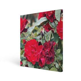 Холст квадратный с принтом Red Roses в Рязани, 100% ПВХ |  | bush | floral | flower | garden | green | nature | red roses | бутоны | красная роза | куст | листья | природа | роза | сад | цветение | цветок | цветы