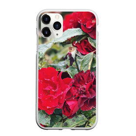 Чехол для iPhone 11 Pro матовый с принтом Red Roses в Рязани, Силикон |  | Тематика изображения на принте: bush | floral | flower | garden | green | nature | red roses | бутоны | красная роза | куст | листья | природа | роза | сад | цветение | цветок | цветы