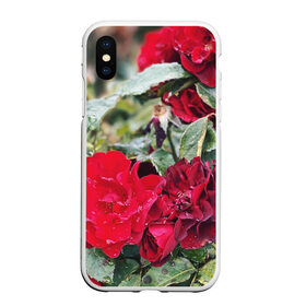 Чехол для iPhone XS Max матовый с принтом Red Roses в Рязани, Силикон | Область печати: задняя сторона чехла, без боковых панелей | Тематика изображения на принте: bush | floral | flower | garden | green | nature | red roses | бутоны | красная роза | куст | листья | природа | роза | сад | цветение | цветок | цветы