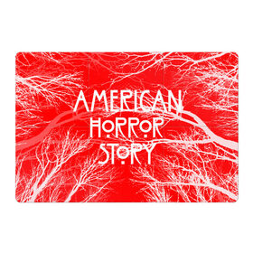 Магнитный плакат 3Х2 с принтом American Horror Story. в Рязани, Полимерный материал с магнитным слоем | 6 деталей размером 9*9 см | Тематика изображения на принте: american horror story | netflix | американ хоррор стори | американская история ужасов | драма | загадочные события | кино | мини сериал | нетфликс | очень странные дела | сериалы | триллер | ужасы | фантастика