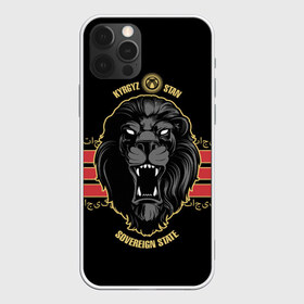 Чехол для iPhone 12 Pro Max с принтом Казахстан в Рязани, Силикон |  | crown | eagle | islam | kazakhstan | king | lion | republic | sun | ислам | казахстан | король | корона | лев | орел | республика | солнце | царь