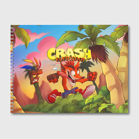 Альбом для рисования с принтом Crash Bandicoot в Рязани, 100% бумага
 | матовая бумага, плотность 200 мг. | aku aku | crash bandicoot | бандикут | игры | крэш бандикут