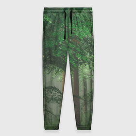 Женские брюки 3D с принтом Тропический лес в Рязани, полиэстер 100% | прямой крой, два кармана без застежек по бокам, с мягкой трикотажной резинкой на поясе и по низу штанин. В поясе для дополнительного комфорта — широкие завязки | деревья | джунгли | зеленый лес | зелень | лес | тропики | тропический лес