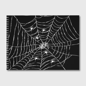 Альбом для рисования с принтом Паутина с пауками в Рязани, 100% бумага
 | матовая бумага, плотность 200 мг. | Тематика изображения на принте: black and white | darkness | halloween | horror | night | spider | web | готика | жуки | жуткий | мальчикам | насекомые | нечисть | нити | ночные | ночь | пауки | паутина | подарок | сетка | страшный | темный | тьма | хеллоуин | хоррор