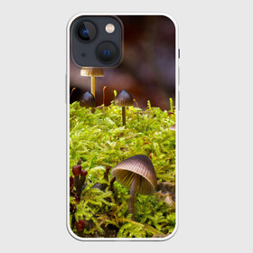 Чехол для iPhone 13 mini с принтом Мох в Рязани,  |  | гриб | грибы | дерево | деревья | зелёные | зелёный | зелень | лес | леса | лесной | мох | мхи | пенёк | пеньки | пни | поганка | поганки | природа | природный | флора