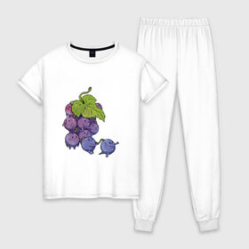 Женская пижама хлопок с принтом Виноградинки в Рязани, 100% хлопок | брюки и футболка прямого кроя, без карманов, на брюках мягкая резинка на поясе и по низу штанин | арт | веточка винограда | виноград | виноградинки | мило | милота | рисунок | свежая ягода | свежие ягоды | свежий продукт | синий виноград | ягода | ягоды