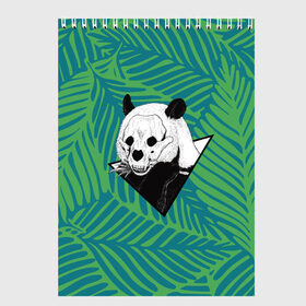 Скетчбук с принтом Панда нежить в Рязани, 100% бумага
 | 48 листов, плотность листов — 100 г/м2, плотность картонной обложки — 250 г/м2. Листы скреплены сверху удобной пружинной спиралью | бамбук | зверь | листья | медведь | треугольник | череп
