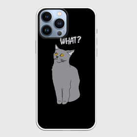 Чехол для iPhone 13 Pro Max с принтом What cat в Рязани,  |  | cat | kitten | kitty | what кот | британская кошка | британский кот | в смысле | взгляд | вопрос | вопросительный знак | глаза кота | животные | кот мем | котенок | котик | котята | кошак | кошка | мемы