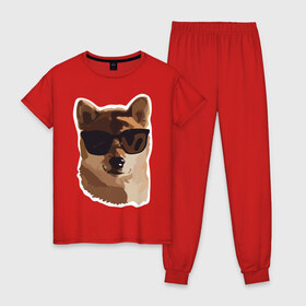 Женская пижама хлопок с принтом Собакен в Рязани, 100% хлопок | брюки и футболка прямого кроя, без карманов, на брюках мягкая резинка на поясе и по низу штанин | dog | dogs | домашний питомец | лучший друг человека | лучшийдру | очки | собака | собаки | собачка
