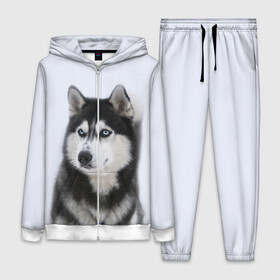 Женский костюм 3D с принтом ХАСКИ в Рязани,  |  | dog | husky | милый | пес | песик | собака | собачка | хаски | щенок