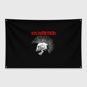 Флаг-баннер с принтом The Exploited в Рязани, 100% полиэстер | размер 67 х 109 см, плотность ткани — 95 г/м2; по краям флага есть четыре люверса для крепления | exploited | punks | punks not dead | the exploited | панк не сдох | панки | уоти | череп | эксплоитед