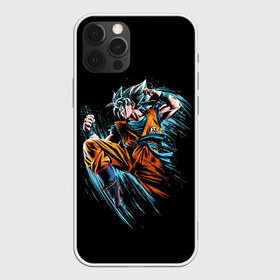 Чехол для iPhone 12 Pro Max с принтом Fighter в Рязани, Силикон |  | anime | art | character | drawing | fighter | street fighter | аниме | арт | боец | каратист | персонаж | рисунок | уличный боец