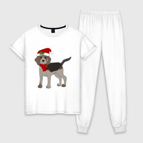 Женская пижама хлопок с принтом Новогодний Бигль в Рязани, 100% хлопок | брюки и футболка прямого кроя, без карманов, на брюках мягкая резинка на поясе и по низу штанин | 2021 | бигль | зима | зимняя собака | милый | нарядная собака | новогодний щенок | новый год | подарок | собака | собака в шапке | шарф | щенок | щенок с шарфом