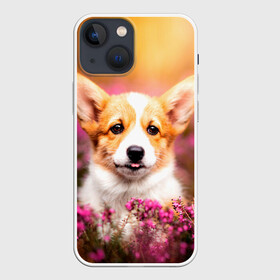 Чехол для iPhone 13 mini с принтом Вельш корги в Рязани,  |  | dog | вельш | вельш корги | животные | корги | пес | природа | собака | собаки | собакчка | собачки