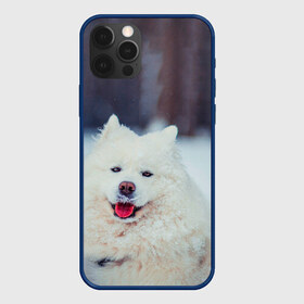 Чехол для iPhone 12 Pro Max с принтом САМОЕД в Рязани, Силикон |  | Тематика изображения на принте: animals | dog | winter | домашние | друг | животные | звери | зима | лайка | пес | песель | природа | пушистый | самоед | собаки | собачка | хаски