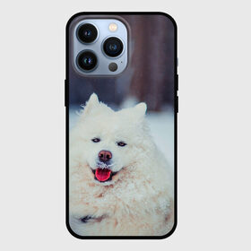 Чехол для iPhone 13 Pro с принтом САМОЕД в Рязани,  |  | Тематика изображения на принте: animals | dog | winter | домашние | друг | животные | звери | зима | лайка | пес | песель | природа | пушистый | самоед | собаки | собачка | хаски