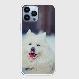 Чехол для iPhone 13 Pro Max с принтом САМОЕД в Рязани,  |  | animals | dog | winter | домашние | друг | животные | звери | зима | лайка | пес | песель | природа | пушистый | самоед | собаки | собачка | хаски