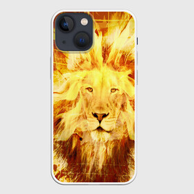 Чехол для iPhone 13 mini с принтом Лев в Рязани,  |  | cat | kitten | kitty | lion | pet | tiger | арт | взгляд | животные | кот | котёнок | коты | котятки | котятушки | кошечки | кошка | кошки | лев | мордочка | тигр