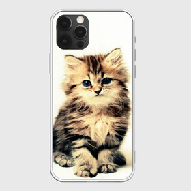 Чехол для iPhone 12 Pro Max с принтом котёнок в Рязани, Силикон |  | cute kitten | kitten | котёнок | красивый котёнок | милый котёнок