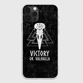 Чехол для iPhone 12 Pro Max с принтом Victory or Valhalla в Рязани, Силикон |  | вальхалла | викинг | ворон | символ | скандинавия | череп | язычество