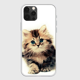 Чехол для iPhone 12 Pro Max с принтом катёнок в Рязани, Силикон |  | cute kitten | kitten | котёнок | красивый котёнок | милый котёнок