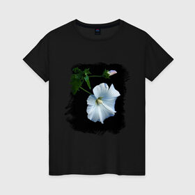 Женская футболка хлопок с принтом Лаватера в Рязани, 100% хлопок | прямой крой, круглый вырез горловины, длина до линии бедер, слегка спущенное плечо | букет | лаватера | лето | растение | сад | фото лаватеры | цветок