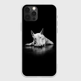Чехол для iPhone 12 Pro Max с принтом Puppy в Рязани, Силикон |  | Тематика изображения на принте: bull terrier | dog | ears | eyes | muzzle | nose | paws | puppy | бультерьер | глаза | лапы | нос | уши | щенок