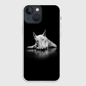 Чехол для iPhone 13 mini с принтом Puppy в Рязани,  |  | Тематика изображения на принте: bull terrier | dog | ears | eyes | muzzle | nose | paws | puppy | бультерьер | глаза | лапы | нос | уши | щенок