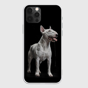 Чехол для iPhone 12 Pro Max с принтом Bully в Рязани, Силикон |  | Тематика изображения на принте: bull terrier | dog | ears | eyes | fangs | jaw | muzzle | paws | saliva | tongue | бультерьер | глаза | клыки | лапы | нос | пасть | слюна | собака | уши | язык