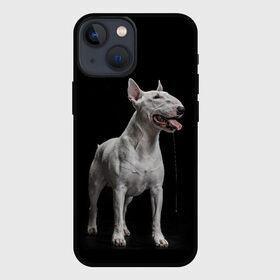 Чехол для iPhone 13 mini с принтом Bully в Рязани,  |  | Тематика изображения на принте: bull terrier | dog | ears | eyes | fangs | jaw | muzzle | paws | saliva | tongue | бультерьер | глаза | клыки | лапы | нос | пасть | слюна | собака | уши | язык