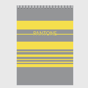 Скетчбук с принтом Pantone 2021 в Рязани, 100% бумага
 | 48 листов, плотность листов — 100 г/м2, плотность картонной обложки — 250 г/м2. Листы скреплены сверху удобной пружинной спиралью | 2021 | color 2021 | illuminating | pantone | ultimate grey | желтый | золотой | минимализм | пантон | полосы | популярный цвет | серый | ультимэйт грэй | цвет 2021