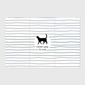 Магнитный плакат 3Х2 с принтом Гуляю сама по себе в Рязани, Полимерный материал с магнитным слоем | 6 деталей размером 9*9 см | гулять | дерзкая надпись | дикая кошка | кошка | пафосная надпись | полоска | серый | черный | черный кот