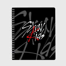 Тетрадь с принтом STRAY KIDS в Рязани, 100% бумага | 48 листов, плотность листов — 60 г/м2, плотность картонной обложки — 250 г/м2. Листы скреплены сбоку удобной пружинной спиралью. Уголки страниц и обложки скругленные. Цвет линий — светло-серый
 | bang chan | changbin | felix | han | hyunjin | i.n. | k pop | lee know | seungmin | skz | stray kids | идолы | к поп