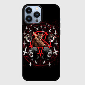 Чехол для iPhone 13 Pro Max с принтом Satanic Cat в Рязани,  |  | satan | киска | кот | кот мем | кошечка | кошка | кошки и коты | лиса | лисы | мем | мемы | с кошкой | сатана