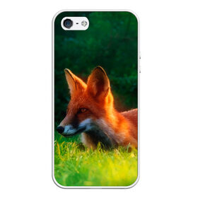 Чехол для iPhone 5/5S матовый с принтом Рыжая лиса в Рязани, Силикон | Область печати: задняя сторона чехла, без боковых панелей | fox | foxy | животное | звери | лиса | лисенок | лисичка | милая | рыжая | фокс