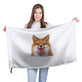 Флаг 3D с принтом Снежная лиса в Рязани, 100% полиэстер | плотность ткани — 95 г/м2, размер — 67 х 109 см. Принт наносится с одной стороны | fox | foxy | животное | звери | лиса | лисенок | лисичка | милая | рыжая | фокс