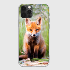 Чехол для iPhone 12 Pro Max с принтом Лисичка в Рязани, Силикон |  | fox | foxy | животное | звери | лиса | лисенок | лисичка | милая | рыжая | фокс