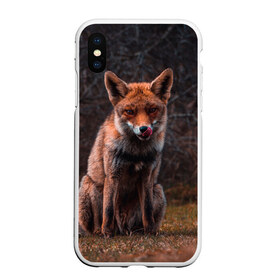 Чехол для iPhone XS Max матовый с принтом Хищная лисица в Рязани, Силикон | Область печати: задняя сторона чехла, без боковых панелей | fox | foxy | животное | звери | лиса | лисенок | лисичка | милая | рыжая | фокс