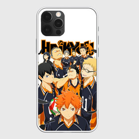 Чехол для iPhone 12 Pro Max с принтом ВОЛЕЙБОЛ!! / HAIKYUU!! в Рязани, Силикон |  | anime | haikyu | haikyuu | karasuno | аниме | волейбол | ворон | карасуно | манга | мяч | сёё хината