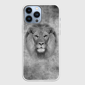 Чехол для iPhone 13 Pro Max с принтом Лев в Рязани,  |  | Тематика изображения на принте: big cat | lion | зверь | кошка | лев | львенок | львица | хищник | царь зверей