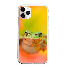 Чехол для iPhone 11 Pro матовый с принтом лягушка в цветке мило в Рязани, Силикон |  | жаба | жабка | земноводное | ква | квакуха | лягушенок | лягушка | макро | мило | природа | пыльца | цветок