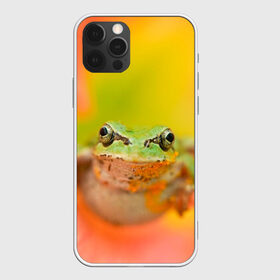 Чехол для iPhone 12 Pro Max с принтом лягушка в цветке мило в Рязани, Силикон |  | жаба | жабка | земноводное | ква | квакуха | лягушенок | лягушка | макро | мило | природа | пыльца | цветок