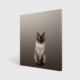 Холст квадратный с принтом Сиамский кот голубые глаза в Рязани, 100% ПВХ |  | арт | бежевый | градиент | киса | коричневый | кот | котейка | котенок | котик | котэ | кошка | реализм | сиамец | сиамский