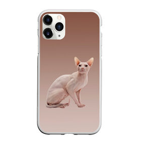 Чехол для iPhone 11 Pro матовый с принтом Лысый кот сфинкс в Рязани, Силикон |  | арт | бежевый | без шерсти | градиент | домашний питомец | киса | кот | котейка | котенок | котик | котэ | кошка | лысый | реализм | складки кожи | сфинкс | экзотика