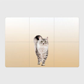 Магнитный плакат 3Х2 с принтом Пушистый котик реалистичный в Рязани, Полимерный материал с магнитным слоем | 6 деталей размером 9*9 см | cat | kitten | большой | градиент | идет | кот | котейка | котик | кошка | любопытный | мяу | полоски | породистый | пушистый | реалистичный | серый | фото